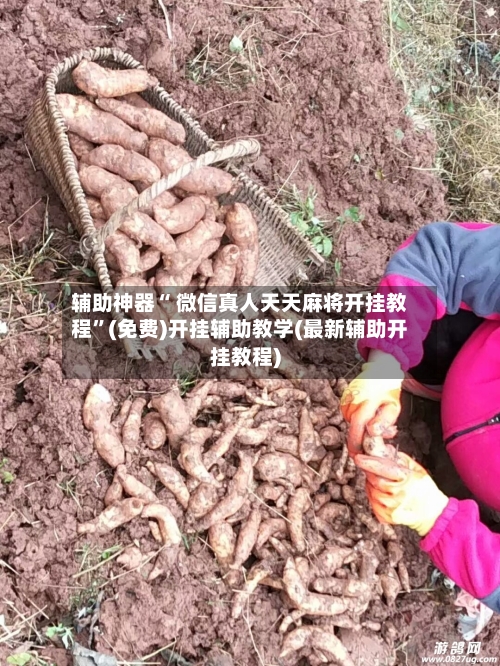 辅助神器“ 微信真人天天麻将开挂教程”(免费)开挂辅助教学(最新辅助开挂教程)