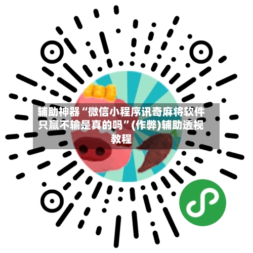 辅助神器“微信小程序讯奇麻将软件只赢不输是真的吗”(作弊)辅助透视教程-第2张图片