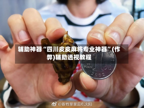 辅助神器“四川皮皮麻将专业神器”(作弊)辅助透视教程