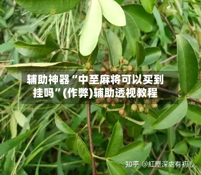辅助神器“中至麻将可以买到挂吗	”(作弊)辅助透视教程-第2张图片