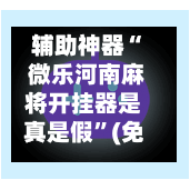 辅助神器“ 微乐河南麻将开挂器是真是假”(免费)开挂辅助教学(最新辅助开挂教程)-第2张图片