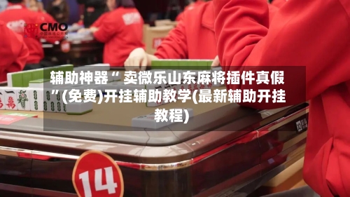 辅助神器“ 卖微乐山东麻将插件真假”(免费)开挂辅助教学(最新辅助开挂教程)-第2张图片