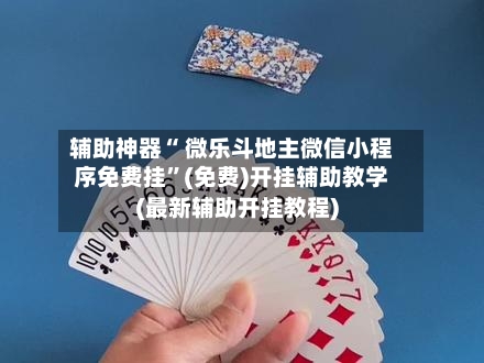 辅助神器“ 微乐斗地主微信小程序免费挂”(免费)开挂辅助教学(最新辅助开挂教程)-第2张图片