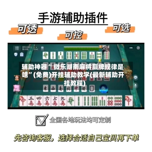 辅助神器“ 微乐湖南麻将赢牌规律是啥”(免费)开挂辅助教学(最新辅助开挂教程)-第2张图片