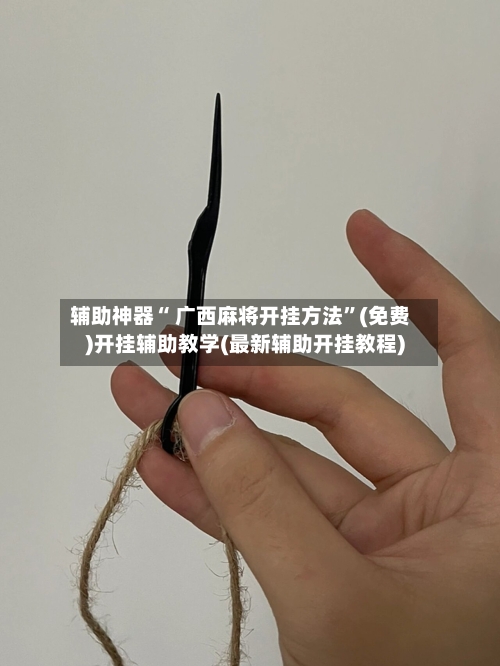 辅助神器“ 广西麻将开挂方法”(免费)开挂辅助教学(最新辅助开挂教程)-第2张图片