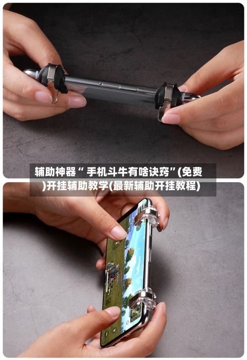 辅助神器“ 手机斗牛有啥诀窍”(免费)开挂辅助教学(最新辅助开挂教程)-第2张图片