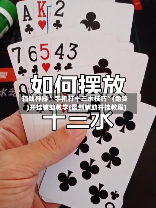 辅助神器“ 手机打十三水技巧”(免费)开挂辅助教学(最新辅助开挂教程)-第3张图片