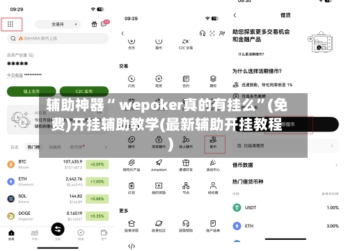 辅助神器“ wepoker真的有挂么”(免费)开挂辅助教学(最新辅助开挂教程)-第2张图片