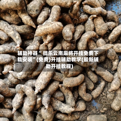 辅助神器“ 微乐云南麻将开挂免费下载安装”(免费)开挂辅助教学(最新辅助开挂教程)-第2张图片