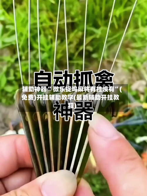 辅助神器“ 微乐捉鸡麻将有挂没有”(免费)开挂辅助教学(最新辅助开挂教程)-第2张图片