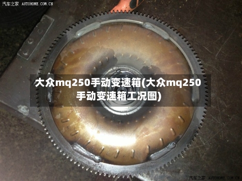 大众mq250手动变速箱(大众mq250手动变速箱工况图)-第3张图片