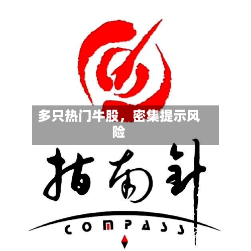 多只热门牛股，密集提示风险-第2张图片