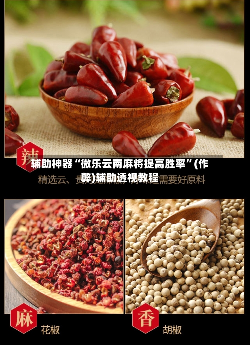 辅助神器“微乐云南麻将提高胜率”(作弊)辅助透视教程-第2张图片