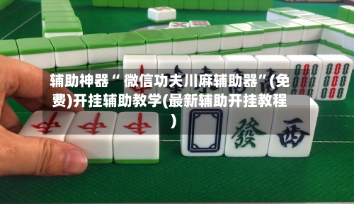 辅助神器“ 微信功夫川麻辅助器”(免费)开挂辅助教学(最新辅助开挂教程)
