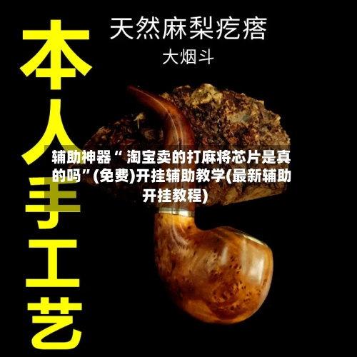 辅助神器“ 淘宝卖的打麻将芯片是真的吗”(免费)开挂辅助教学(最新辅助开挂教程)-第2张图片