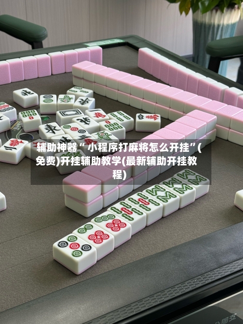 辅助神器“ 小程序打麻将怎么开挂”(免费)开挂辅助教学(最新辅助开挂教程)-第2张图片