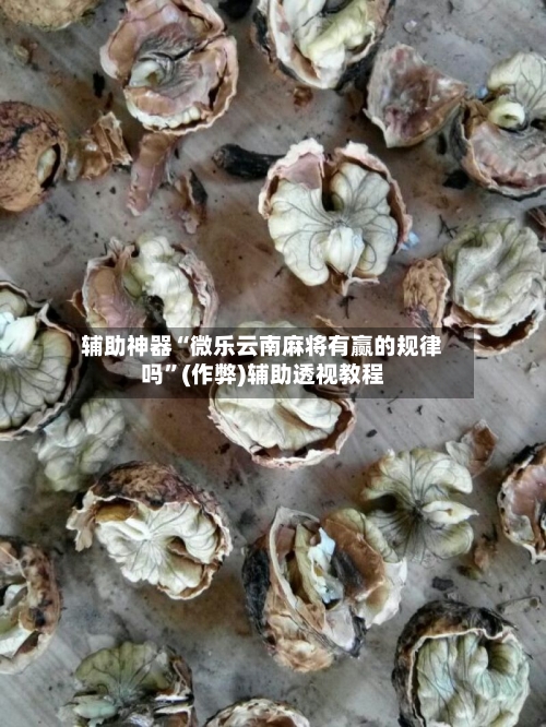 辅助神器“微乐云南麻将有赢的规律吗”(作弊)辅助透视教程-第1张图片