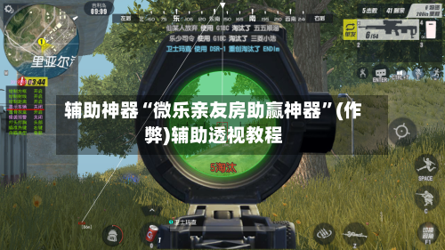 辅助神器“微乐亲友房助赢神器”(作弊)辅助透视教程-第3张图片
