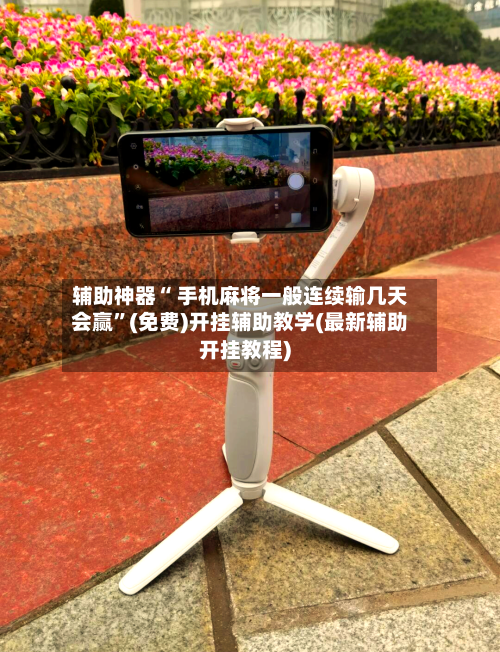 辅助神器“ 手机麻将一般连续输几天会赢”(免费)开挂辅助教学(最新辅助开挂教程)