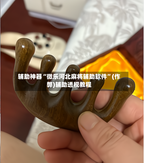 辅助神器“微乐河北麻将辅助软件”(作弊)辅助透视教程-第2张图片