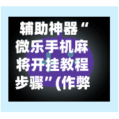 辅助神器“微乐手机麻将开挂教程步骤	”(作弊)辅助透视教程-第2张图片
