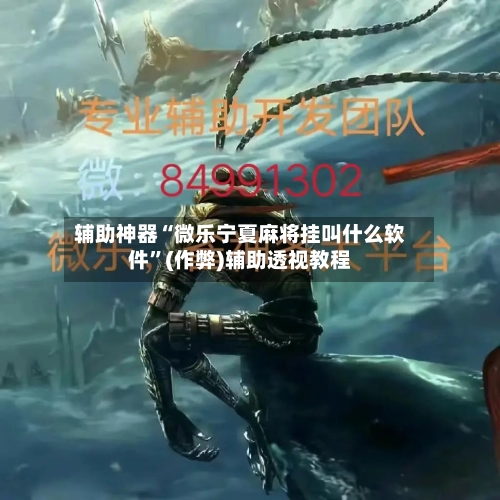 辅助神器“微乐宁夏麻将挂叫什么软件”(作弊)辅助透视教程-第2张图片