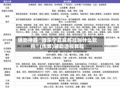 辅助神器“微乐宁夏麻将挂叫什么软件”(作弊)辅助透视教程-第3张图片