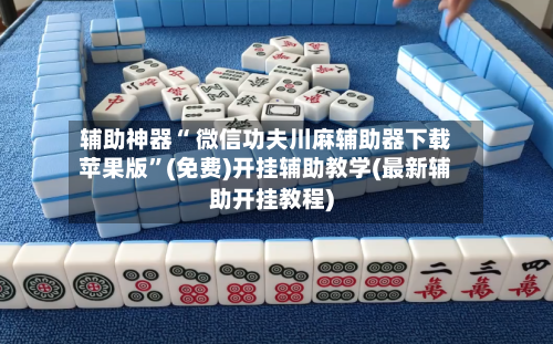 辅助神器“ 微信功夫川麻辅助器下载苹果版”(免费)开挂辅助教学(最新辅助开挂教程)-第2张图片