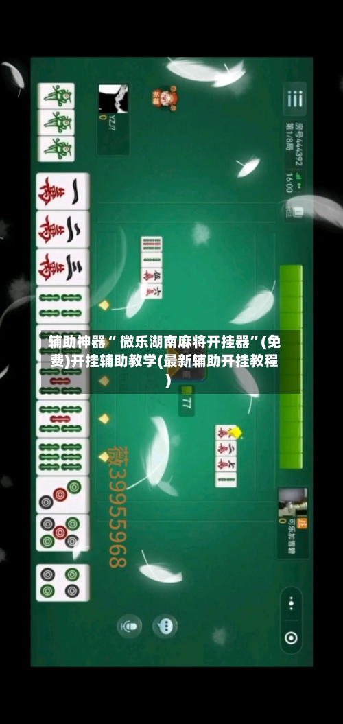 辅助神器“ 微乐湖南麻将开挂器”(免费)开挂辅助教学(最新辅助开挂教程)-第2张图片