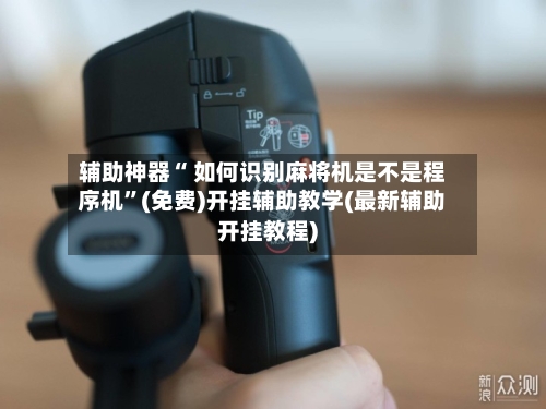 辅助神器“ 如何识别麻将机是不是程序机”(免费)开挂辅助教学(最新辅助开挂教程)-第3张图片
