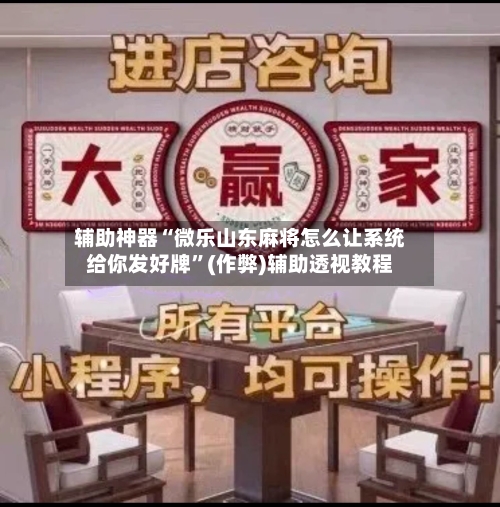 辅助神器“微乐山东麻将怎么让系统给你发好牌”(作弊)辅助透视教程-第3张图片
