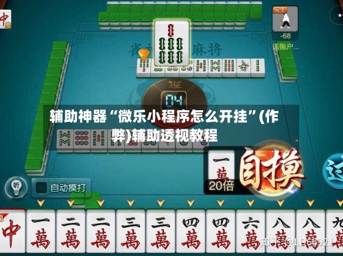 辅助神器“微乐小程序怎么开挂”(作弊)辅助透视教程