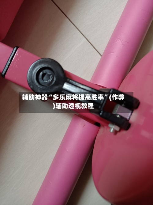 辅助神器“多乐麻将提高胜率”(作弊)辅助透视教程-第2张图片