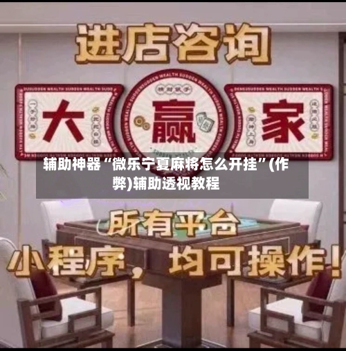 辅助神器“微乐宁夏麻将怎么开挂”(作弊)辅助透视教程-第2张图片