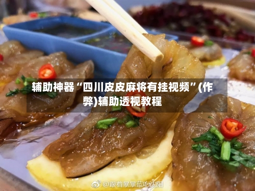 辅助神器“四川皮皮麻将有挂视频”(作弊)辅助透视教程-第2张图片