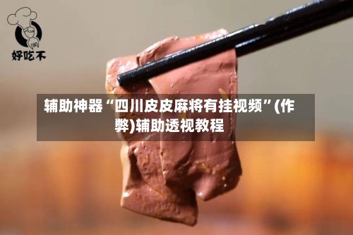 辅助神器“四川皮皮麻将有挂视频”(作弊)辅助透视教程-第3张图片