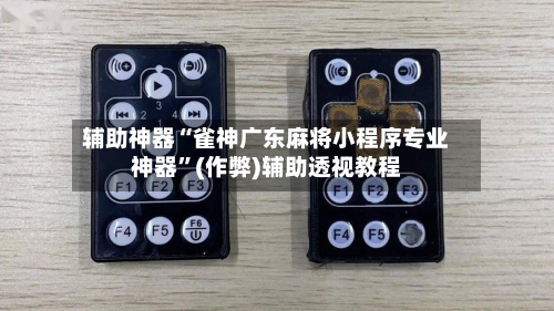 辅助神器“雀神广东麻将小程序专业神器”(作弊)辅助透视教程-第2张图片