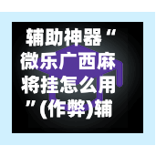 辅助神器“微乐广西麻将挂怎么用”(作弊)辅助透视教程-第2张图片