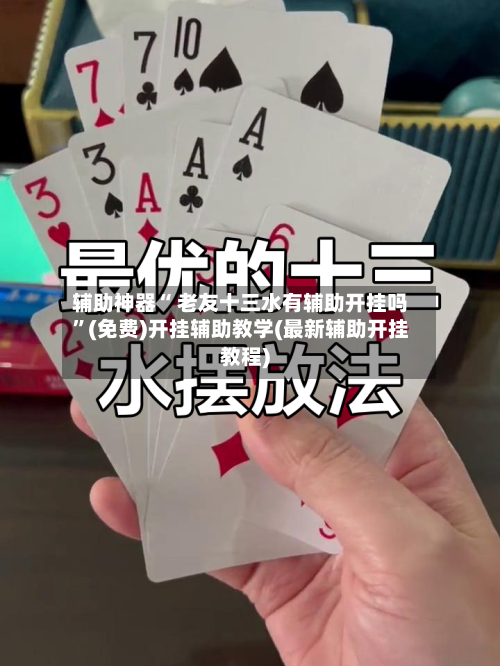 辅助神器“ 老友十三水有辅助开挂吗	”(免费)开挂辅助教学(最新辅助开挂教程)-第3张图片