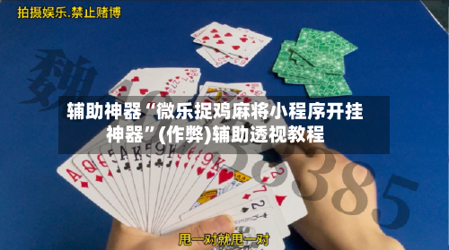 辅助神器“微乐捉鸡麻将小程序开挂神器	”(作弊)辅助透视教程-第3张图片