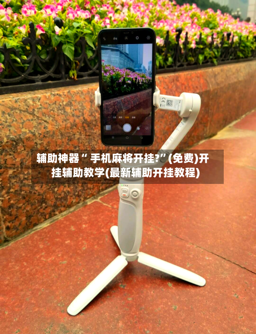 辅助神器“ 手机麻将开挂?”(免费)开挂辅助教学(最新辅助开挂教程)-第2张图片