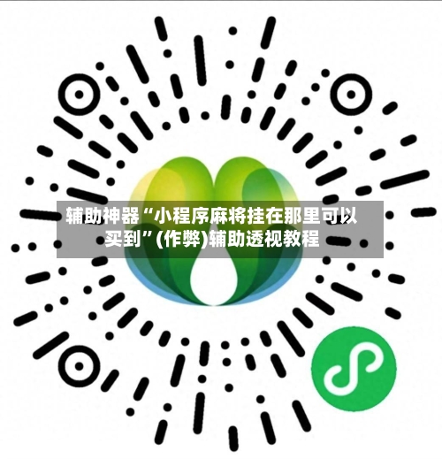 辅助神器“小程序麻将挂在那里可以买到”(作弊)辅助透视教程-第3张图片