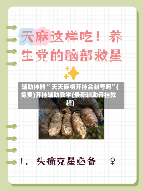 辅助神器“ 天天麻将开挂会封号吗”(免费)开挂辅助教学(最新辅助开挂教程)-第2张图片