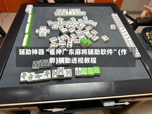 辅助神器“雀神广东麻将辅助软件”(作弊)辅助透视教程-第2张图片