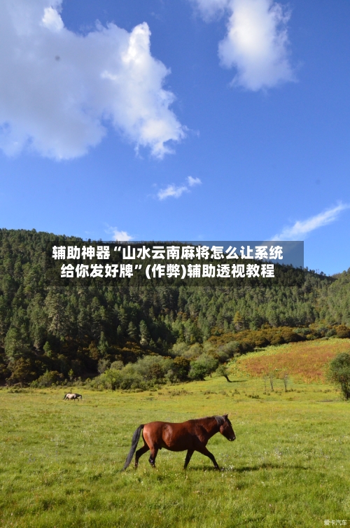 辅助神器“山水云南麻将怎么让系统给你发好牌	”(作弊)辅助透视教程-第3张图片