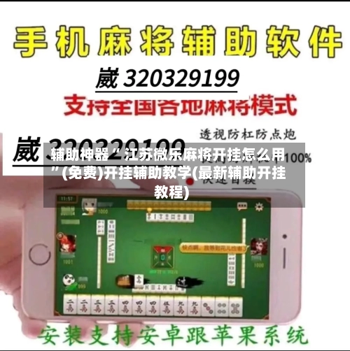辅助神器“ 江苏微乐麻将开挂怎么用”(免费)开挂辅助教学(最新辅助开挂教程)-第2张图片