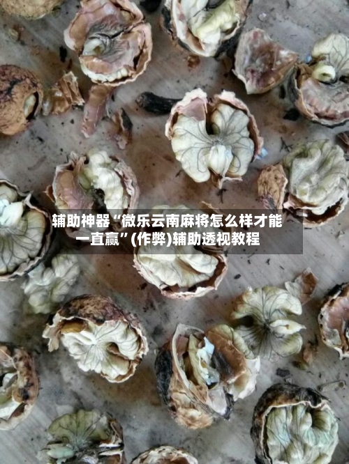 辅助神器“微乐云南麻将怎么样才能一直赢”(作弊)辅助透视教程-第2张图片