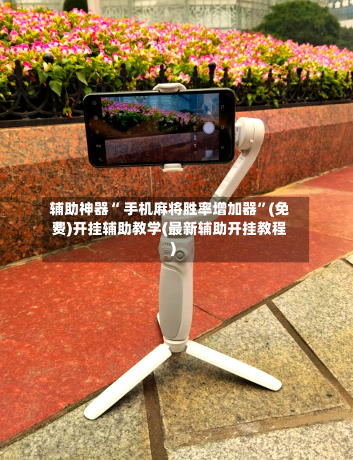 辅助神器“ 手机麻将胜率增加器”(免费)开挂辅助教学(最新辅助开挂教程)-第2张图片