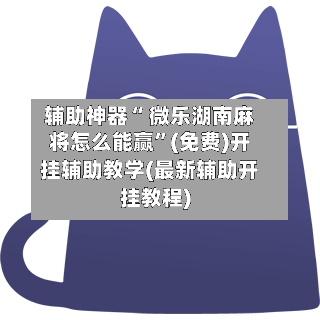 辅助神器“ 微乐湖南麻将怎么能赢”(免费)开挂辅助教学(最新辅助开挂教程)-第3张图片