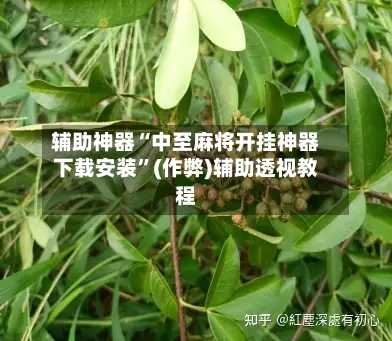 辅助神器“中至麻将开挂神器下载安装”(作弊)辅助透视教程-第2张图片